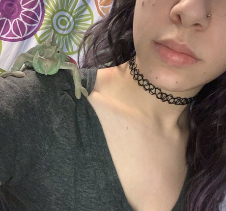 Lexi Lynx erwachsene pornostar archiv