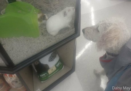 doitwithdaisy perfekte nackte fotos