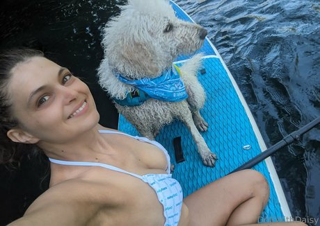 doitwithdaisy top schöne bilder