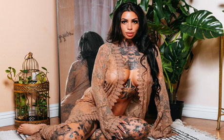 misscepha erotische erwachsene galerie