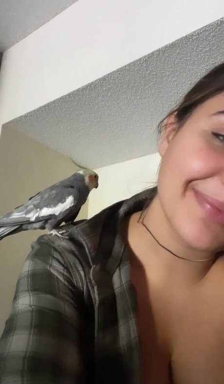 arsch nur fans heiße sexy bild