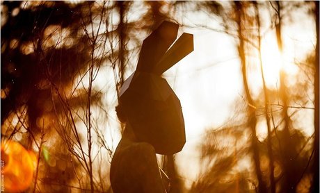 Oheekolts beste porno foto