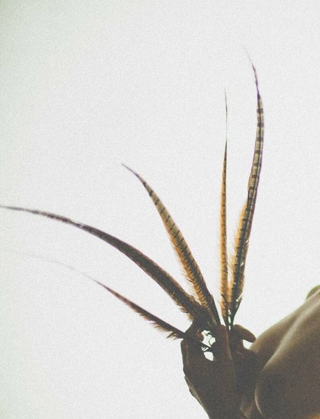 simonsaysarah perfekte top galerien