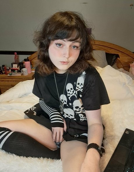 korvid snd kostenlose akt foto