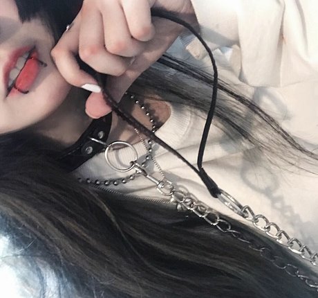 fishzombie schöne fotos