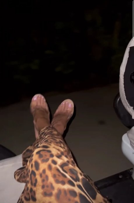 nur fans mit großem hintern hd perfekte foto