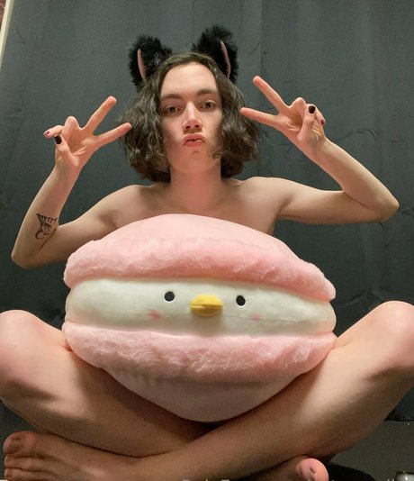 catsnvodka nacktheit nette galerien