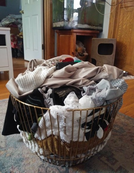 chloe loves attention xxx erotische foto