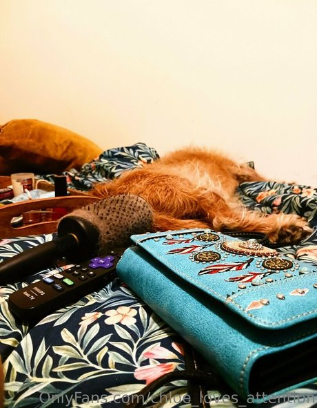 chloe loves attention hd erotische galerie