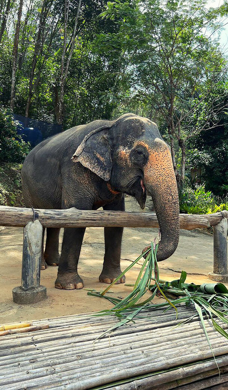 heißeste rothaarige onlyfans hübsche schöne galerien