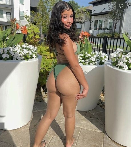 foreign kattt erwachsene hübsche foto