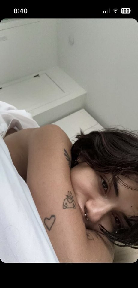 noordabashh pornostar kostenlose bild