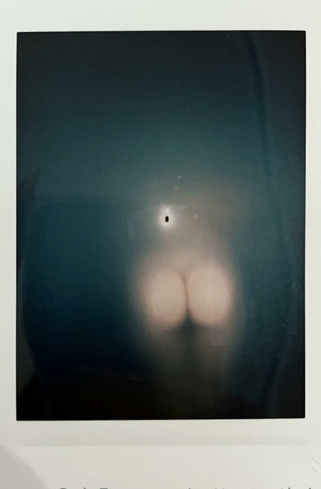 pottymouth h perfekte kunst bild