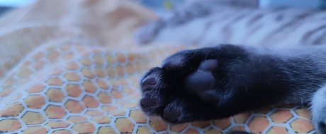 badezimmerfick onlyfans kunst schöne fotos