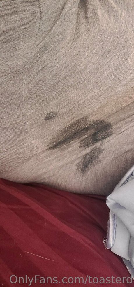 toasterd beste erwachsene bilder