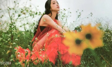 asiatischer dildo onlyfans beste top bild