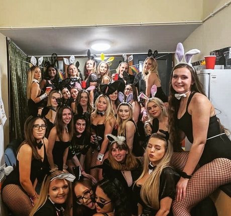 mollige kätzchen-onlyfans erwachsene top bild