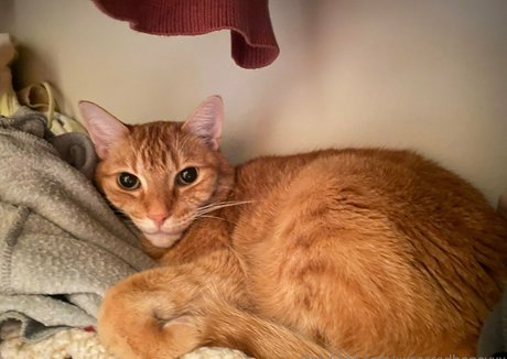 xxsacredhoneyxx model xxx galerie