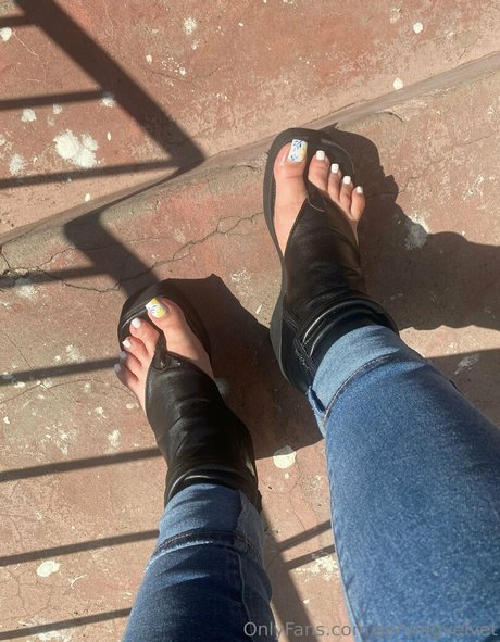 servingvelvet hd kostenlose bild