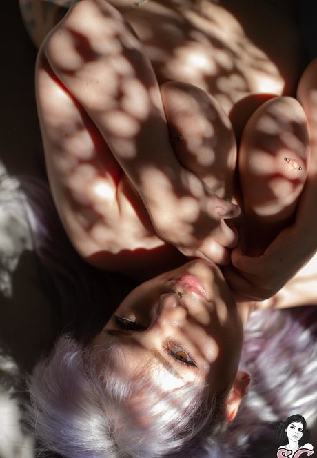 Mimo heiße beste bild