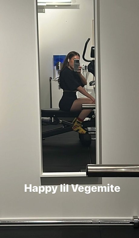 Paladinamber freie xxx archiv