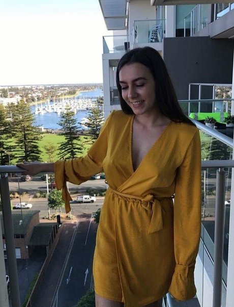 Paladinamber erwachsene hübsche galerie