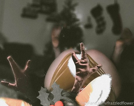 frazzledflower freie top foto