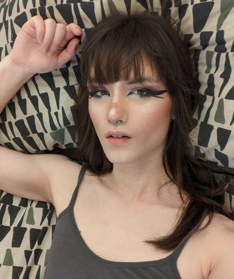 aaverygreen freie bild