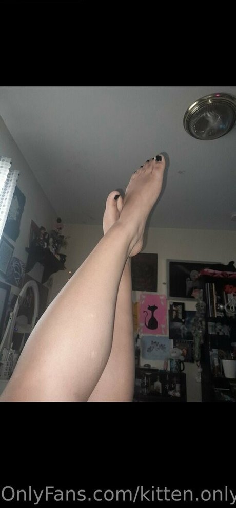 kitten onlyfans com model xxx galerien