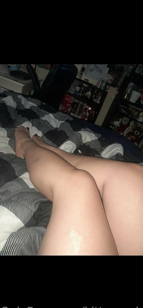 kitten onlyfans com kostenlose akt bild