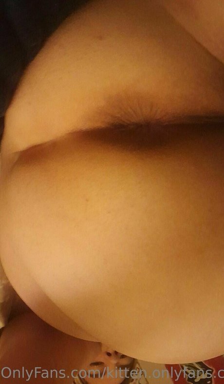 kitten onlyfans com erotische nackte galerien