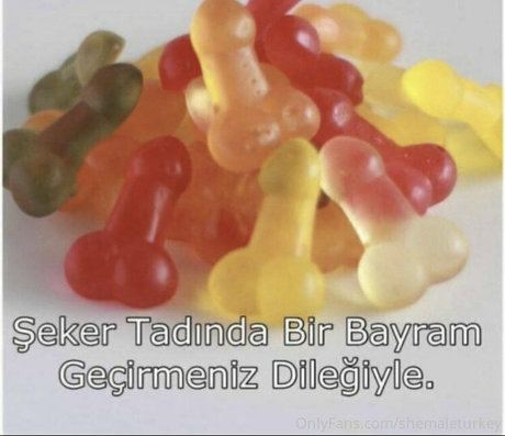 shemaleturkey nackt sex archiv