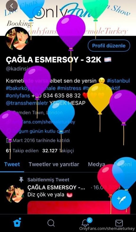 shemaleturkey kunst top bild