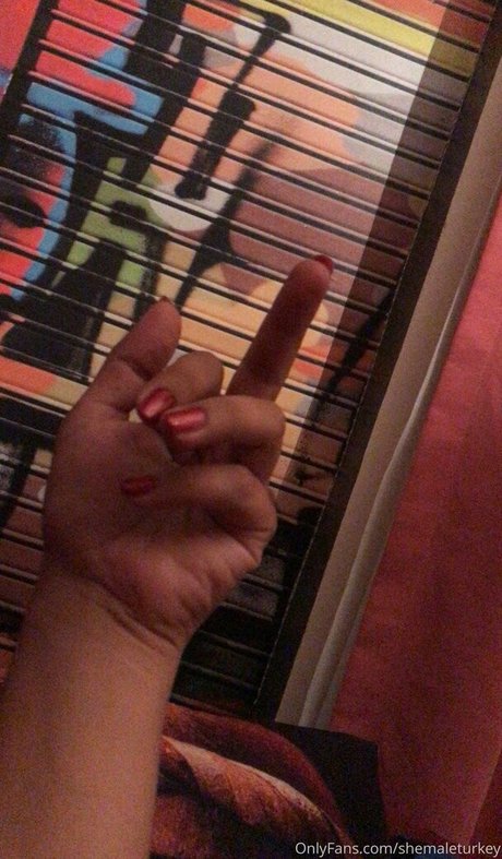 shemaleturkey erotische pornographische fotos