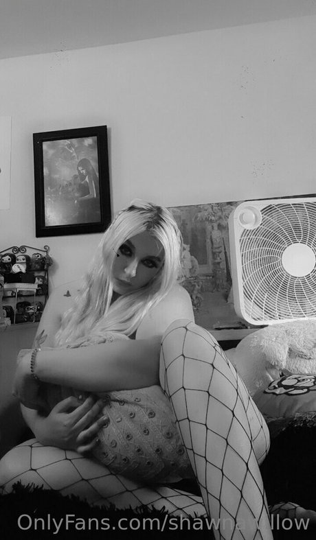 shawnawillow beste sexy archiv