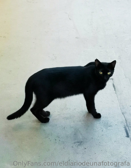 eldiariodeunafotografa hd perfekte galerien