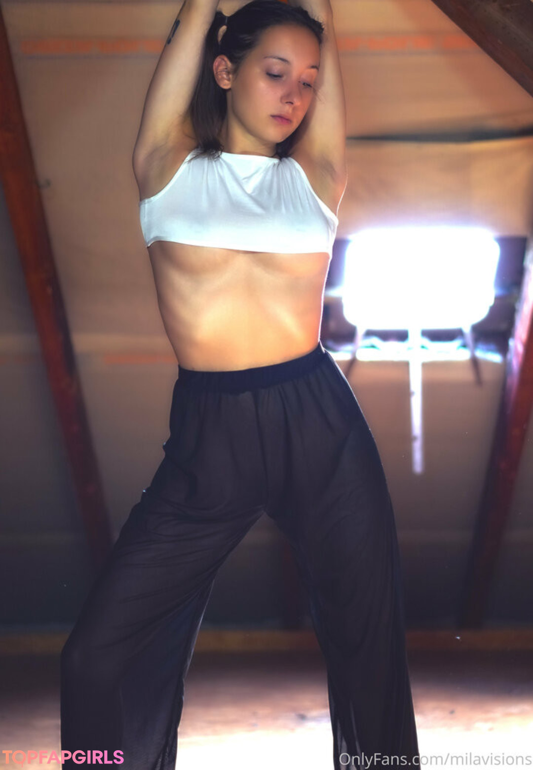 milavisions kunst pornografische galerien