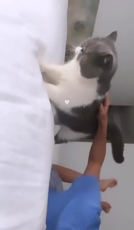 ebenholz-ssbbw-onlyfans hd nette foto