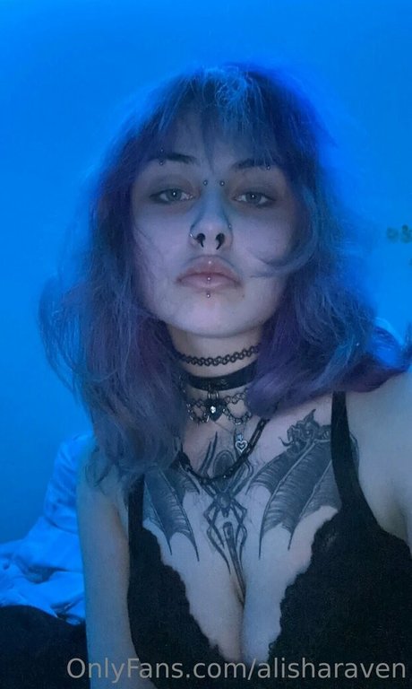 alisharaven Bilder
