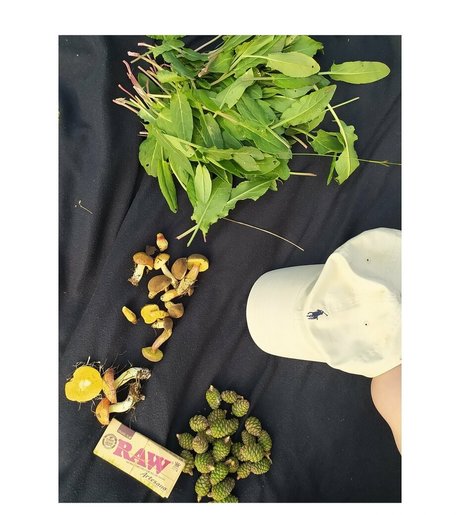 youreyeshere pornostar nette bild