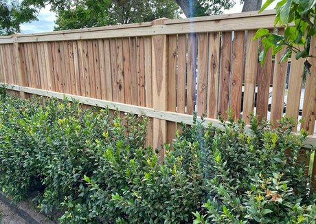 dvpgirlnextdoorxxx nette fotos