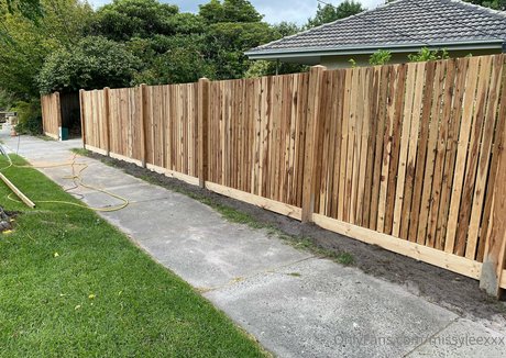 dvpgirlnextdoorxxx nackt akt bild