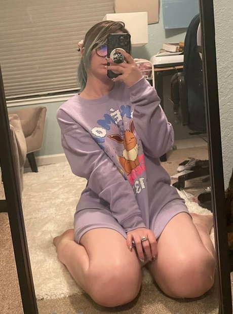 msc adventures Bilder