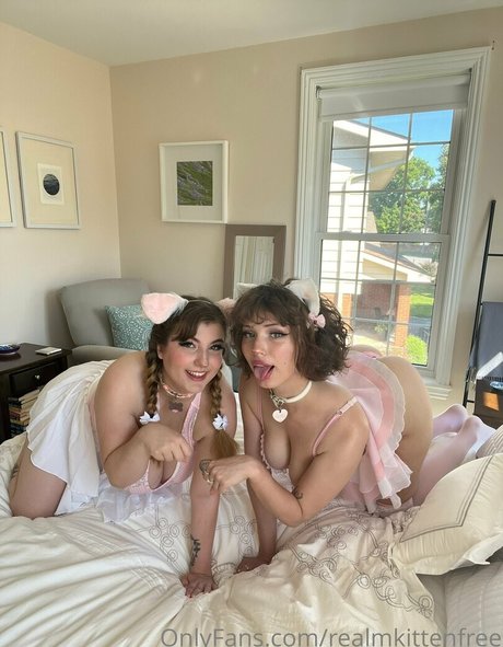 realmkittenfree hübsche freie foto