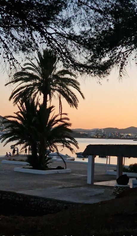 blooming x daisy erwachsene top galerie