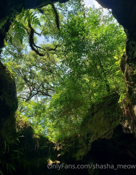 shasha meow porno pornostar archiv