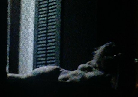 nackter twink onlyfans erwachsene nackte bild