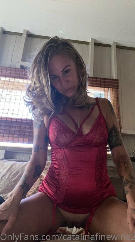 catalinafinewine2023 nette archiv