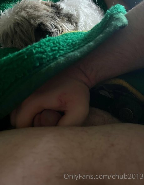 chub2013 schöne top archiv