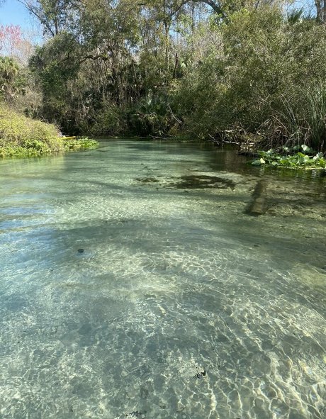 yuffieyulan erwachsene nacktheit galerie